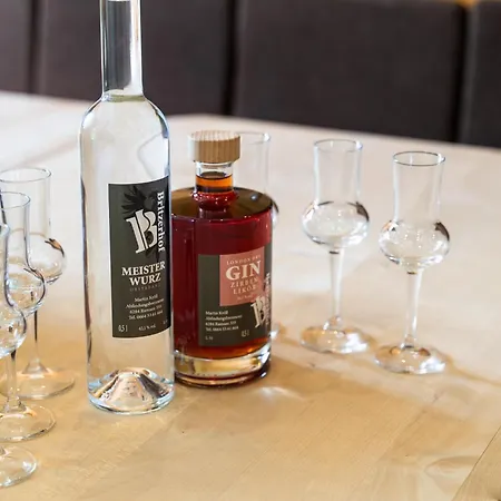 Blick Zum Mayrhofen Apartament