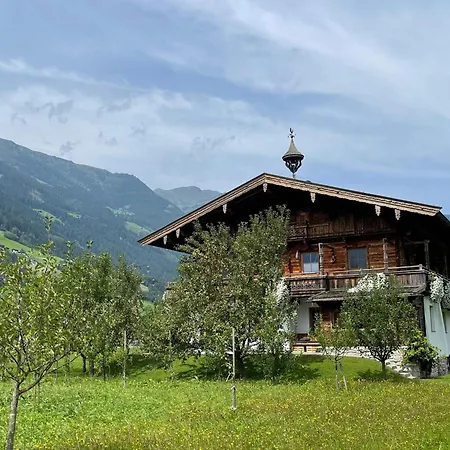 Blick Zum Mayrhofen *