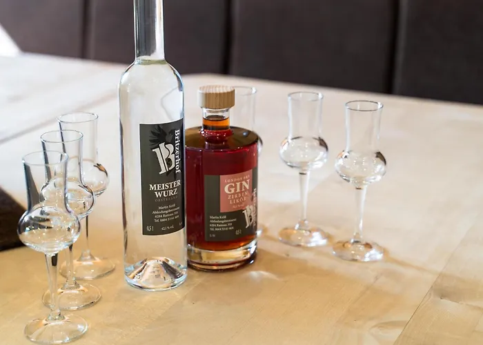 Blick Zum Mayrhofen Appartamento